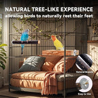 Bird Toys Parakeet Perch Budgie Perch Wood Stand Fork Toys Multi-Branch Perch - Image 5