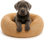 Calming Dog Bed by Shiny-V
