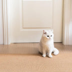 Uross Carpet Protector for Pets by Uross