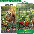 Convivium Plant Protectors from Animals 6 Packs, 13 x 12 in Metal Chicken Wire - Image 5
