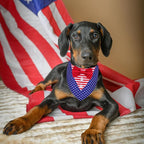 ADOGGYGO American Flag Dog Tuxedo Bandana - Image 4