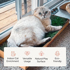 Kitty Lawn Real Grass Cat Window Perch - Image 6