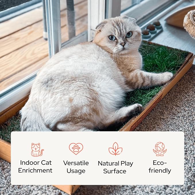 Kitty Lawn Real Grass Cat Window Perch - Image 6