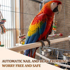 Sintuff 8 Pcs Bird Perches for Cage Accessories, Wooden Perch Rods Replacement - Image 5