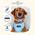 Lucy & Co. Dog Collar - Image 5
