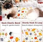 Cat Recovery Suit for Spay Abdominal Wounds, Breathable Cat Onesie for Cats - Image 3