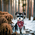 30 Pack Winter Dog Bandanas Bulk - Image 7
