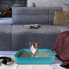 Small Litter Box, Plastic Kitten Litter Box, 13.9 x 9.8 x 3 Inch Open Litter Box - Image 7