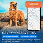 AI GPS Tracker for Dogs, Real Time Location and AI Vet Health Management - Image 8