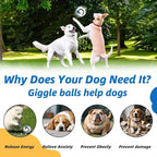Glow in The Dark Dog Toys Ball, Interactive Dog Ball, Shaking - Image 7