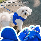 PetiFine Step in Small Dog Harness and Leash Set, Breathable All Weather Air - Image 3
