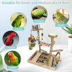 PINVNBY Bird Playground Natural Wood Parrot Perch Stand Bird Play Gym Colorful - Image 4
