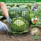 Convivium Plant Protectors from Animals 6 Packs, 13 x 12 in Metal Chicken Wire - Image 7