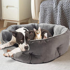 Asvin Large Dog Bed for Large Dogs, Cat Beds for Indoor Cats, Pet Bed for Puppy - Image 2