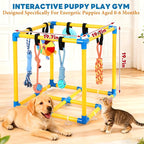 Puppy Play Gym for Small Dogs - Image 4