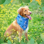 Weewooday 50 Pcs Spring Dog Bandanas Bulk - Image 7