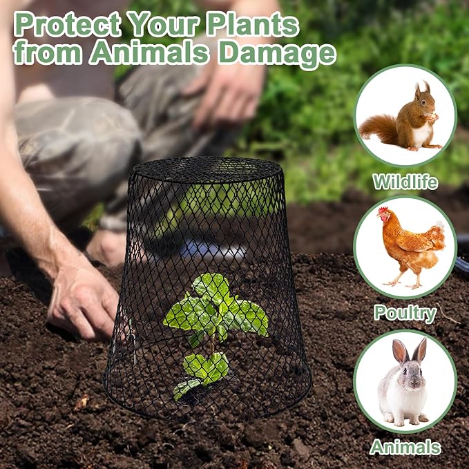 10 Pcs 9"×9" Chicken Wire Plant Protectors from Animals, Plant Cage Garden - Image 6