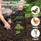 10 Pcs 9"×9" Chicken Wire Plant Protectors from Animals, Plant Cage Garden - Image 6