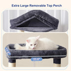 Maine Coon Cat Tree, Heavy Duty Cat Tree - Image 3