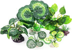 5Pack Tall Aquarium Plants - Image 7