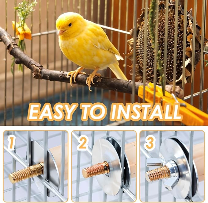 Bird Perch Platform Stand Wooden Parrot Perch Corner 6.7 Inches Fan Shape - Image 3