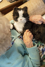 JOY FOR ALL Companion Pet for Seniors - Image 7