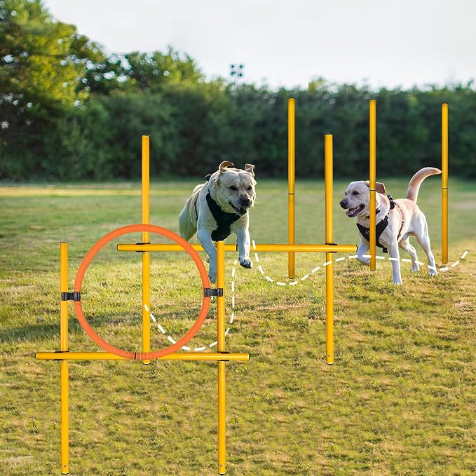 TNZMART 2.6 FT Dog Agility Obstacle Course Backyard Set - Image 2