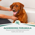 FURminator Ultra Premium deShedding Shampoo - Image 4