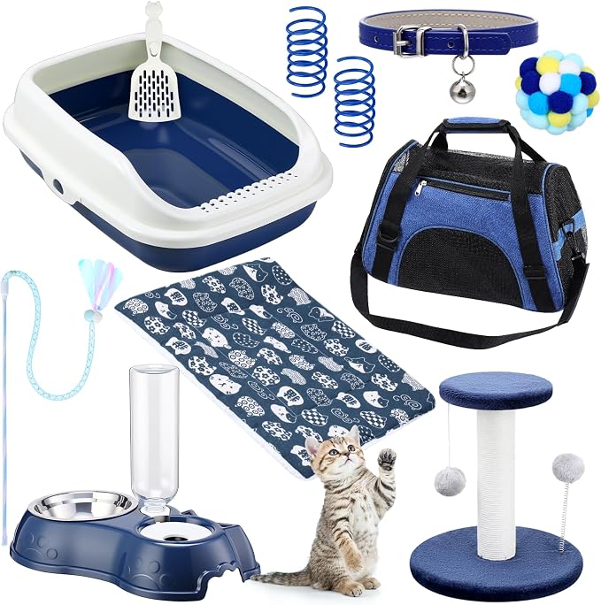 Eccliy Kitten Starter Kit, Pet Toy, Folding Carrier, Climbing Frame, Automatic by Eccliy