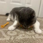 SPOT Kitty Fun Tubes Cat Toy | Bouncy Cat Toy - Image 10