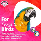 Super Bird Creations - Image 3