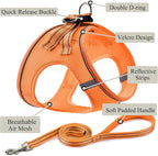 Dog Harness with Leash Set, No Pull Adjustable Reflective Step-in Puppy Pet - Image 2