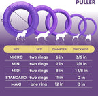 Dog Toy - Interactive Small Midi Dog Puppies Training - Fetch Toy - Dental - Image 6