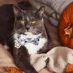 LLHK 4 Pack Halloween Cat Collar - Image 5