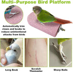PINVNBY 3 PCS Bird Perches Calcium Parrot Perch Stand Bird Beak Grinding Stone - Image 5