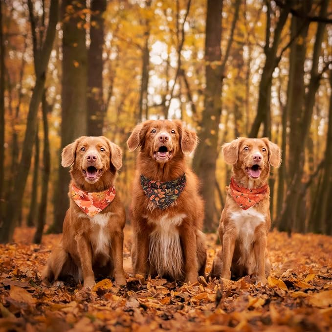 PAWCHIE Dog Bandanas Small Reversible Styles Pet Triangle Scarf Bibs - Image 6