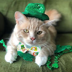 2 Pack St. Patrick Day Cat Collar - Image 4