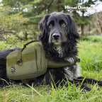 Himal Outdoors Dog Backpack & Saddle Bag, Tactical Hiking Backpack - Image 7