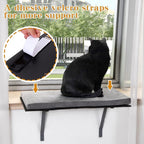 Cat Window Seat Wall Mount Perch House - Image 3