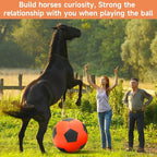 QDAN Herding Ball for Dogs, 25 inch Dog Balls, Giant Dog Toys Horse Toy - Image 7