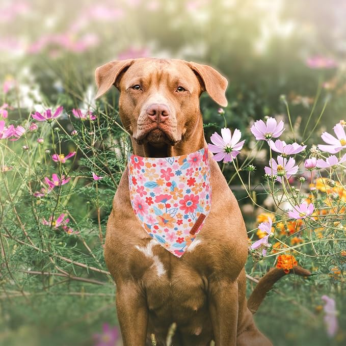 ADOGGYGO Floral Dog Bandana 2 Pack, Reversible Pink Daisy Pet Scarf Bib - Image 2