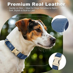 Plutus Pet Genuine Leather Dog Collar – Adjustable Pet Collar - Image 3