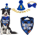 ADOGGYGO Dog Birthday Party Supplies, Pet Party Hat by ADOGGYGO