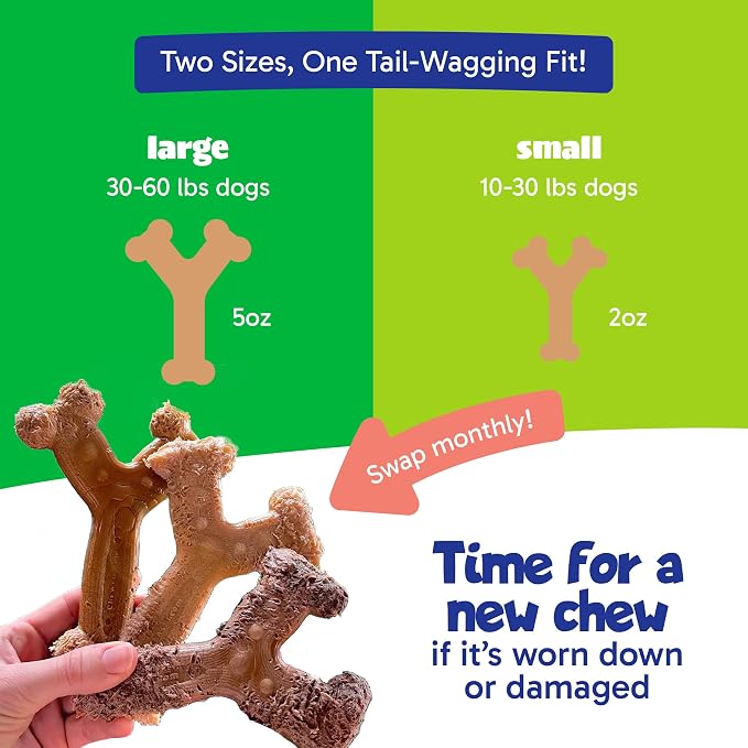 Chew'ems Durable Chewy Dog Toys | Long-Lasting & Flavorful Chew Dog Toys - Image 5