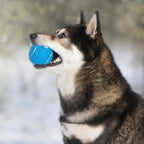 Best Pet Supplies Interactive Squeaky Dog Chew Toy, Ideal Dog Toys - Image 7