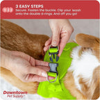 Downtown Pet Supply Step in Dog Harness - Image 5