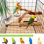 8PCS Natural Grape Wood Bird Perch Set - Image 7