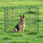 Amazon Basics Foldable Octagonal Metal Exercise Dog Playpen, Indoor/Outdoor - Image 7