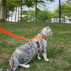 Cat Harness and Leash Escape Proof Extra Large Kitten Harness Maine Coon Cat - Image 8