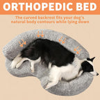 Orthopedic Memory Foam Dog Bed for Medium Sized Dog - Image 5